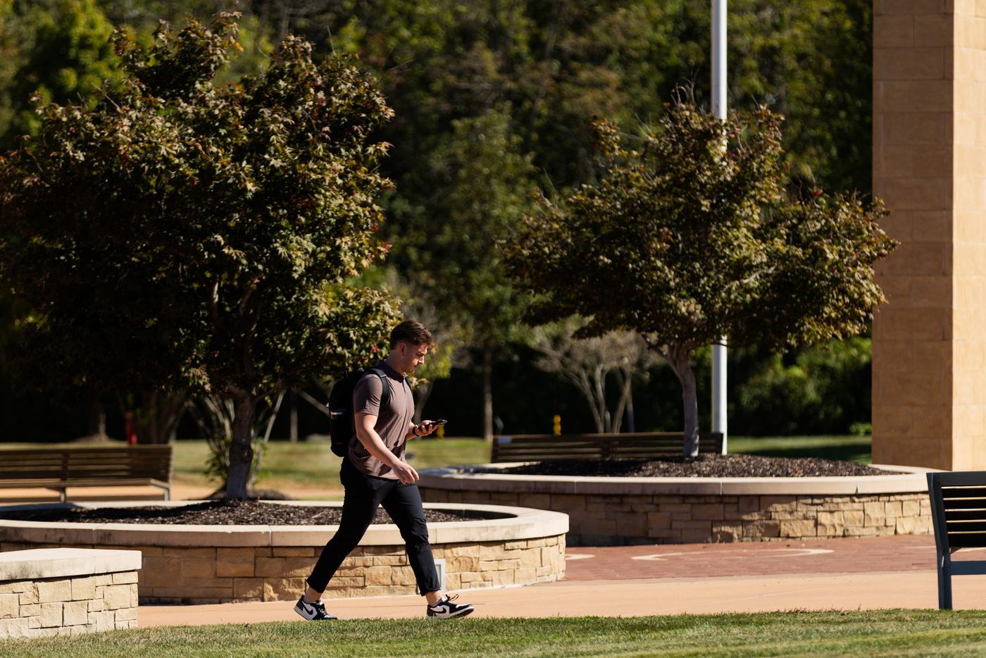 Man with backpack and phone walks on a paved path lined with trees and planters on a sunny day.